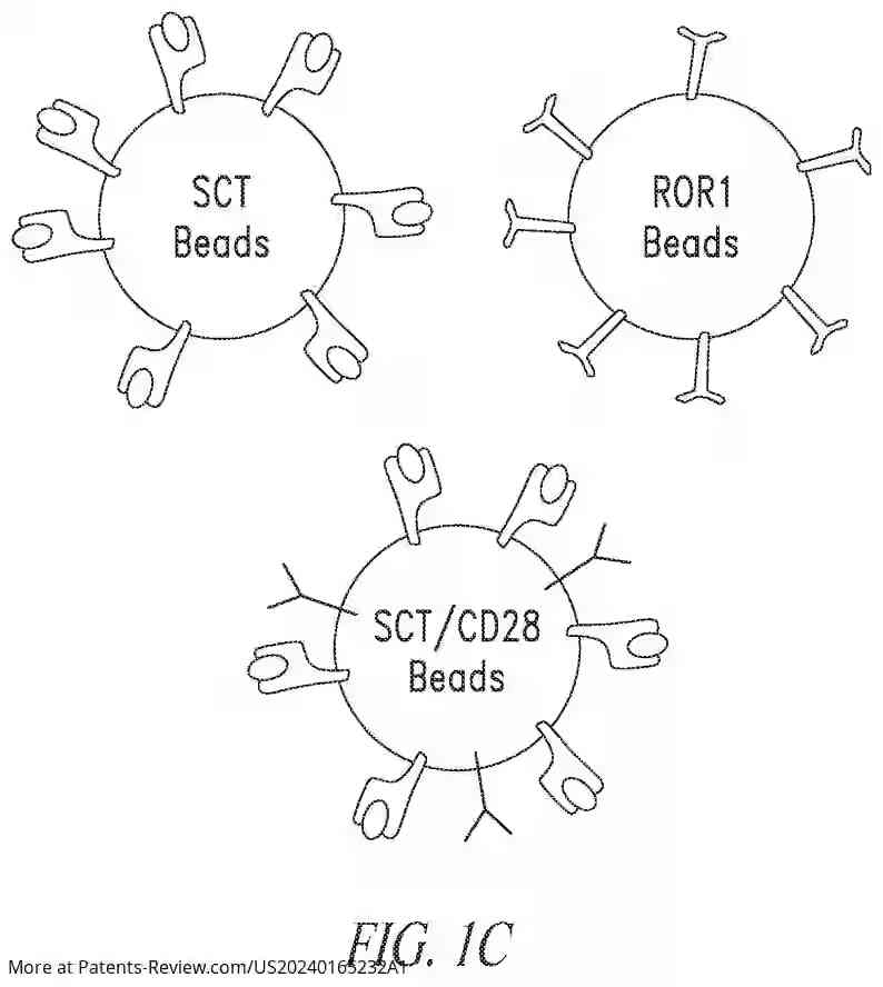 Drawing 04 for CHIMERIC RECEPTOR PROTEINS AND USES THEREOF