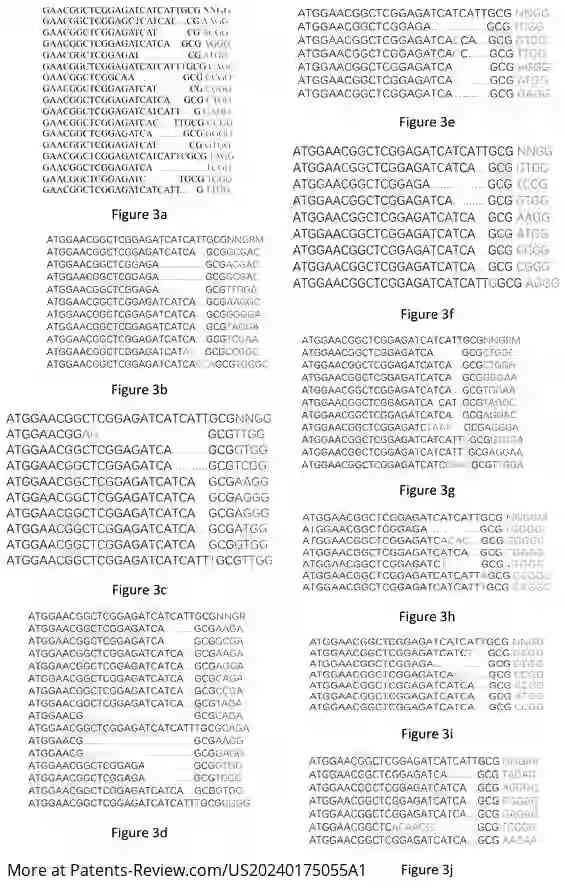 Drawing 03 for CRISPR/CAS9 GENE EDITING SYSTEM AND APPLICATION THEREOF