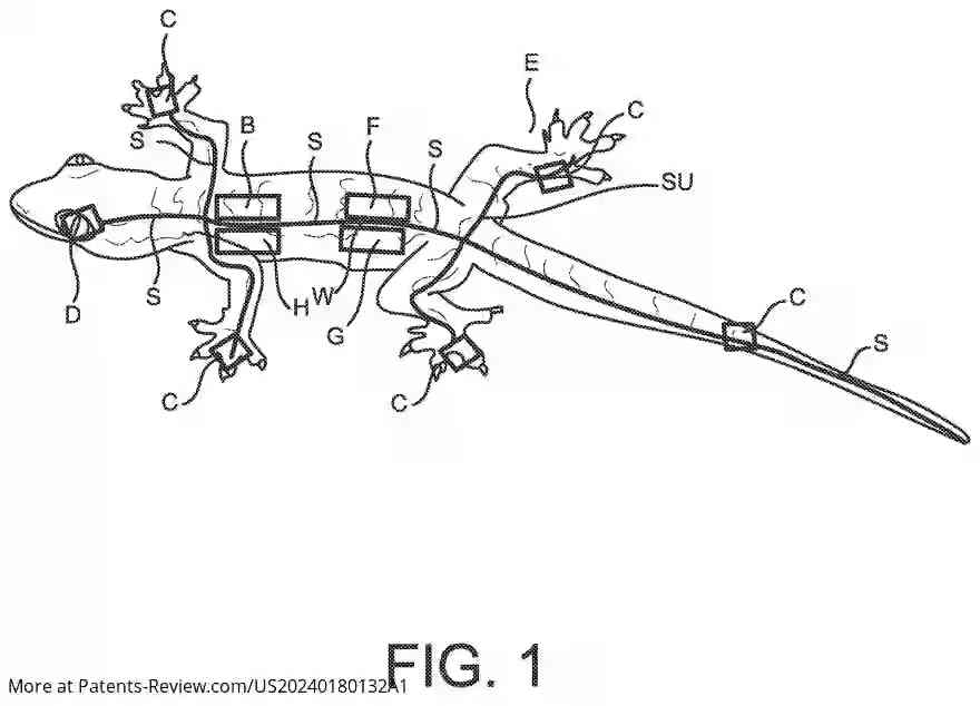 Drawing 02 for Fishing Lure