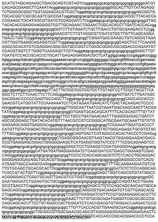 Drawing 04 for SARS-COV-2 MULTI-EPITOPE VACCINES