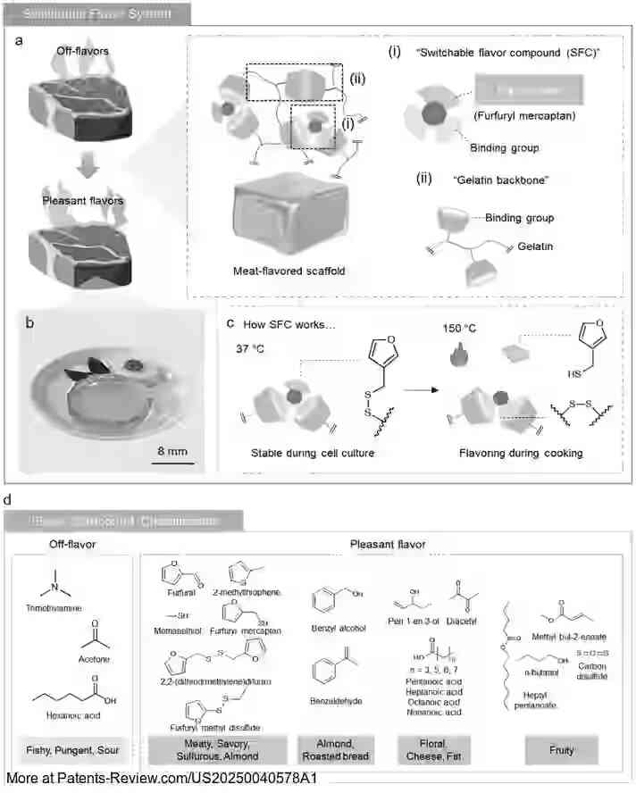Drawing 01 for SCAFFOLD FOR CULTURED MEAT THAT ENHANCES THE MEAT FLAVOR OF CULTURED MEAT