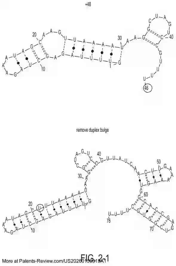 Drawing 03 for ENGINEERING OF SYSTEMS, METHODS AND OPTIMIZED GUIDE COMPOSITIONS WITH NEW ARCHITECTURES FOR SEQUENCE MANIPULATION