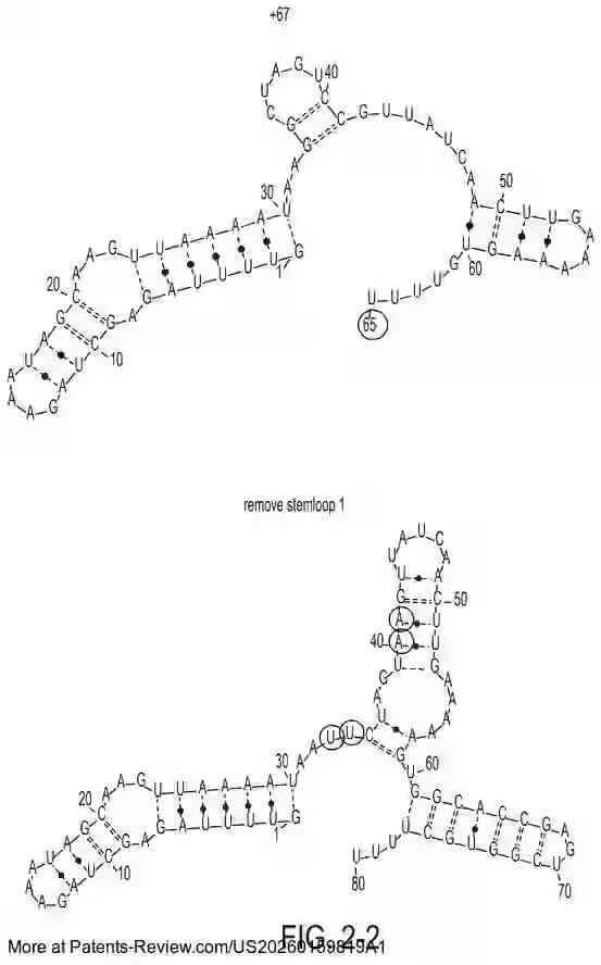 Drawing 04 for ENGINEERING OF SYSTEMS, METHODS AND OPTIMIZED GUIDE COMPOSITIONS WITH NEW ARCHITECTURES FOR SEQUENCE MANIPULATION