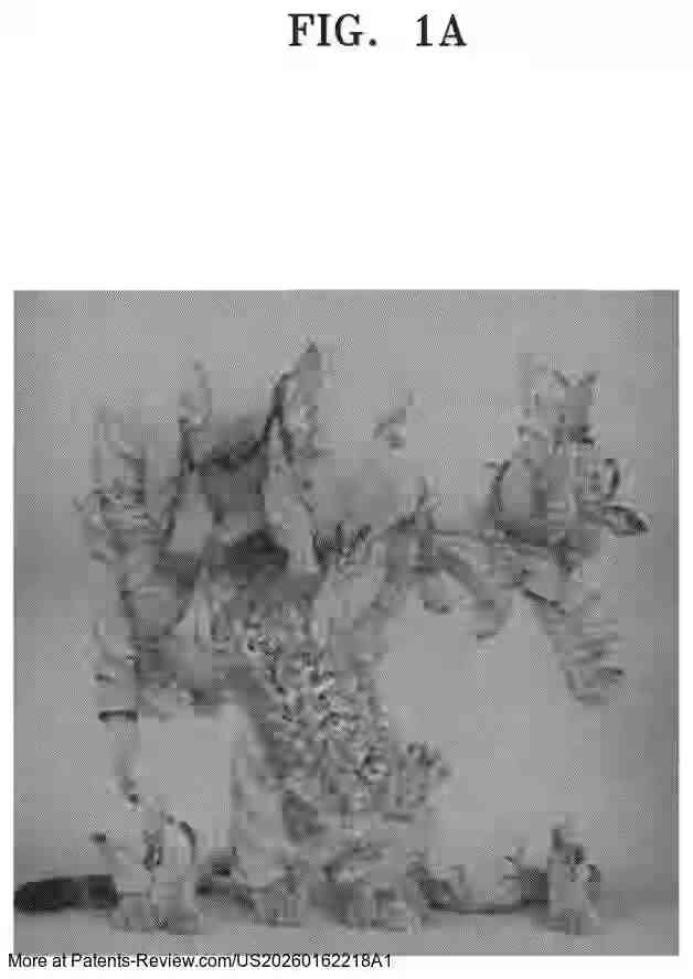 Drawing 02 for METHOD FOR ADAPTING TRAINED GENERATIVE MACHINE LEARNING MODELS